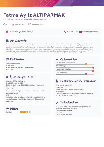 cv indir